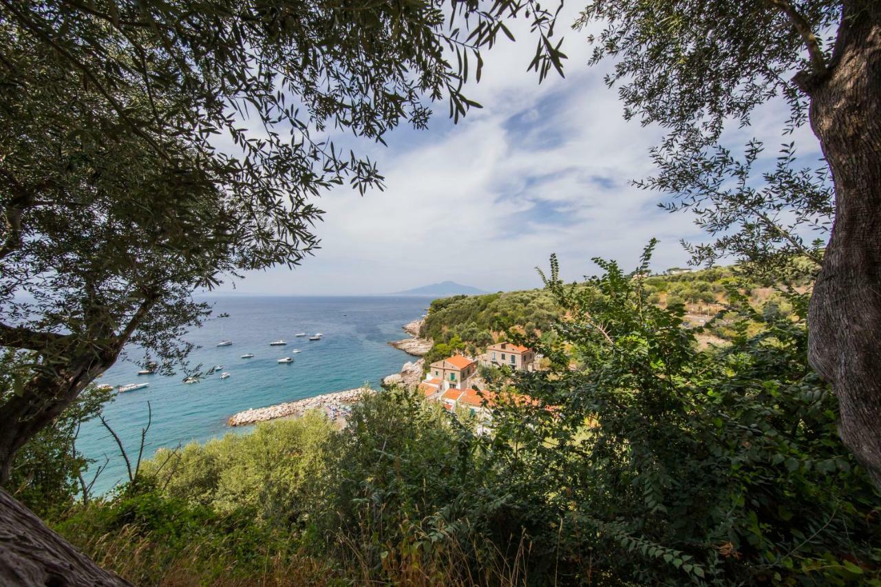 Maison Del Mare Sorrento. Villa Buitenkant foto